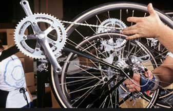 Bicicletaria Lucena - Foto 1