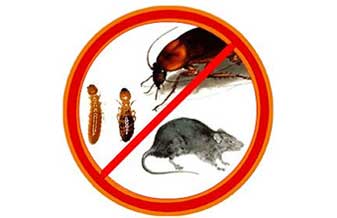 Bio Max Controle De Pragas - Foto 1