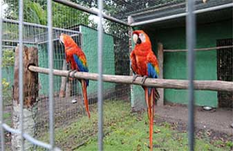 Recanto Dos Animais - Foto 1