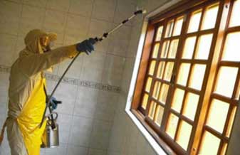 Dedetizadora Ddlimservice - Foto 1