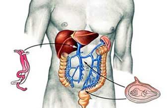 Unigastro Unidade De Gastroenterologia De Bauru - Foto 1