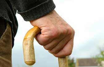 Guilherme Pupo Ferreira Alves - Foto 1