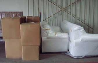 Willian Mudanças - Foto 1