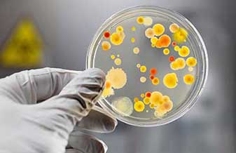 Dr. Edson Carvalho De Melo - Foto 1