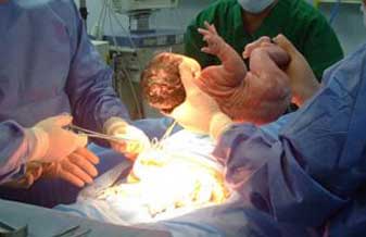 Dra. Marilene Alicia Souza - Foto 1