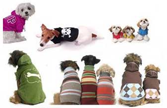 Pet Shop Congevis - Foto 1