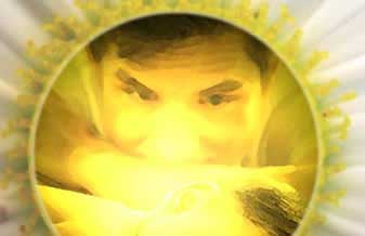 Seicho-No-Ie Do Brasil - Foto 1