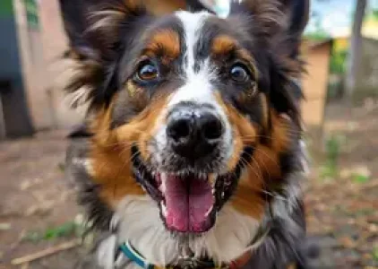 Últimas noticias de Bauru