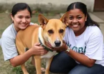 Programa ‘Amigo Caramelo’