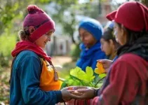 Programa de Inclusão Produtiva e Estímulo ao Primeiro Emprego