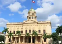 canal de denúncias de maus-tratos a animais