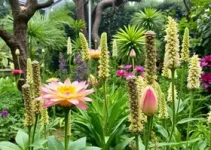 exposição ‘Fragrâncias’