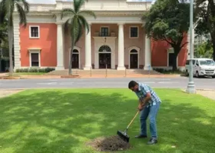 mutirão de capinação e limpeza