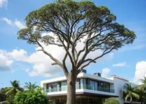 crescimento de receita hotéis Bauru