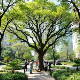 arborização urbana