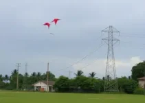 interrupção de energia Bauru pipas