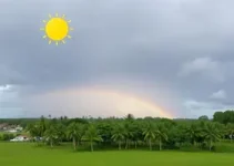previsão do tempo em Bauru (SP)
