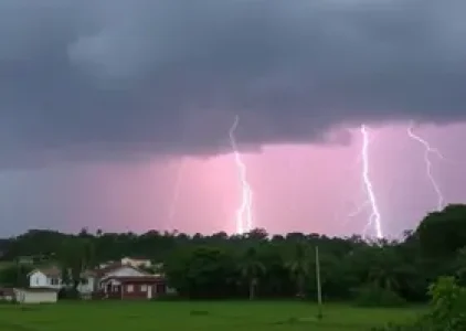 Últimas noticias de Bauru