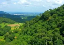 agroecologia e reflorestamento