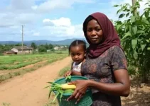 alimentos para famílias de baixa renda