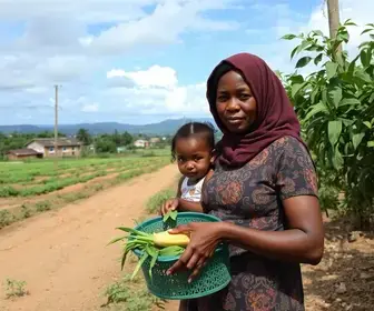 alimentos para famílias de baixa renda
